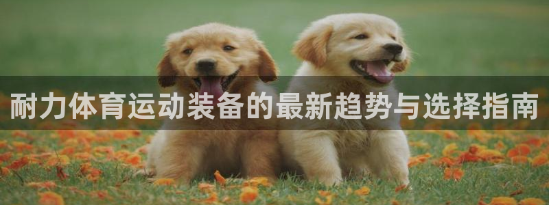 必威betway西汉姆联