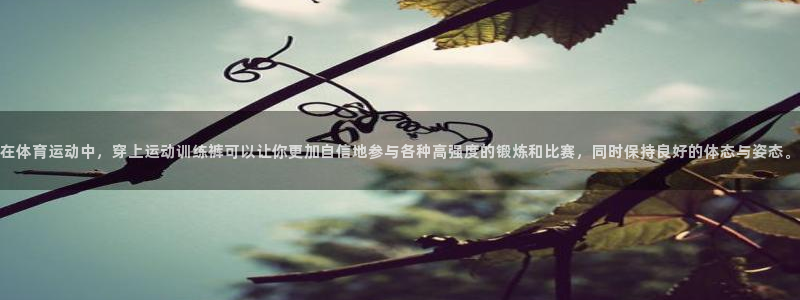 betway西汉姆联官网
