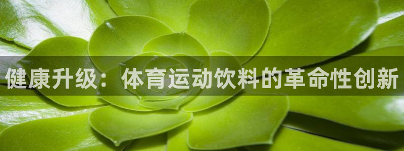 betway西汉姆联