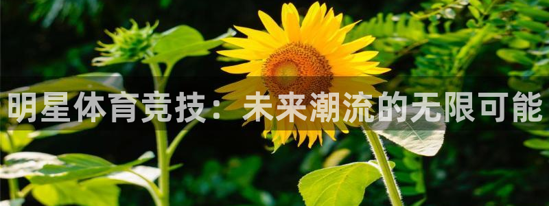 必威betway西汉姆联
